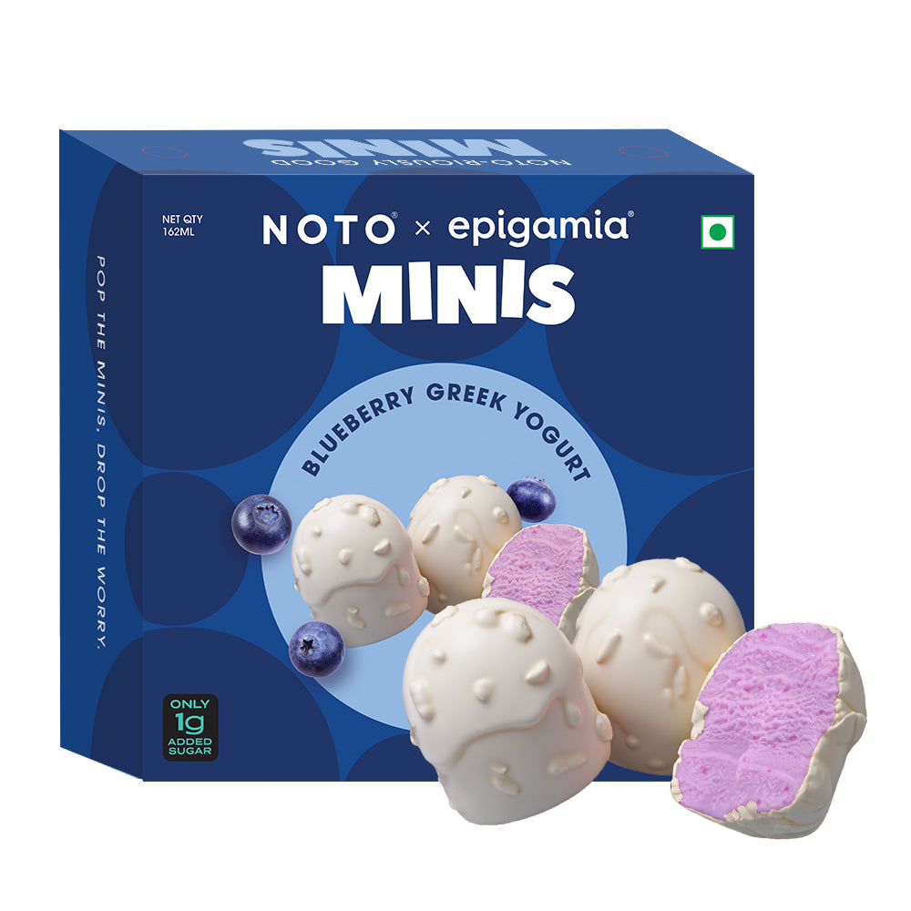 Blueberry Greek Yogurt Minis