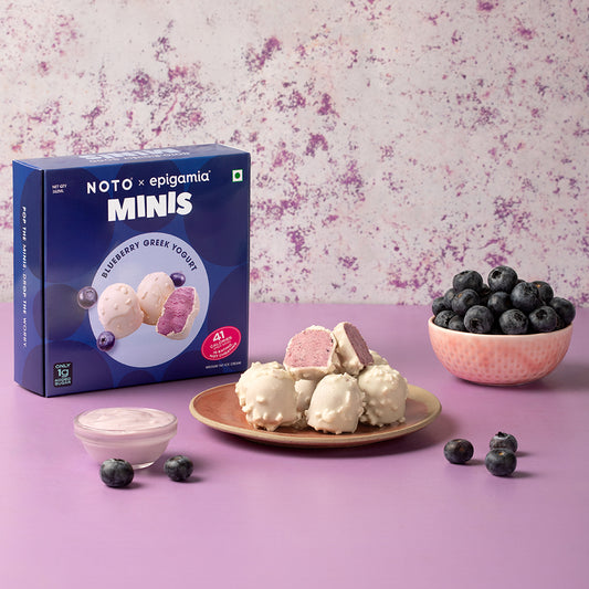 Blueberry Greek Yogurt Minis
