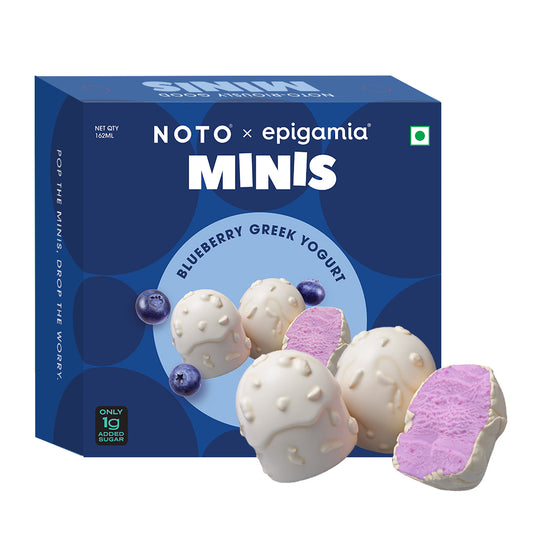Blueberry Greek Yogurt Minis